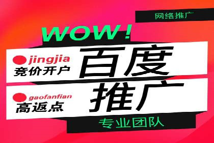 Sem优化公司案例：精准广告投放策略解析